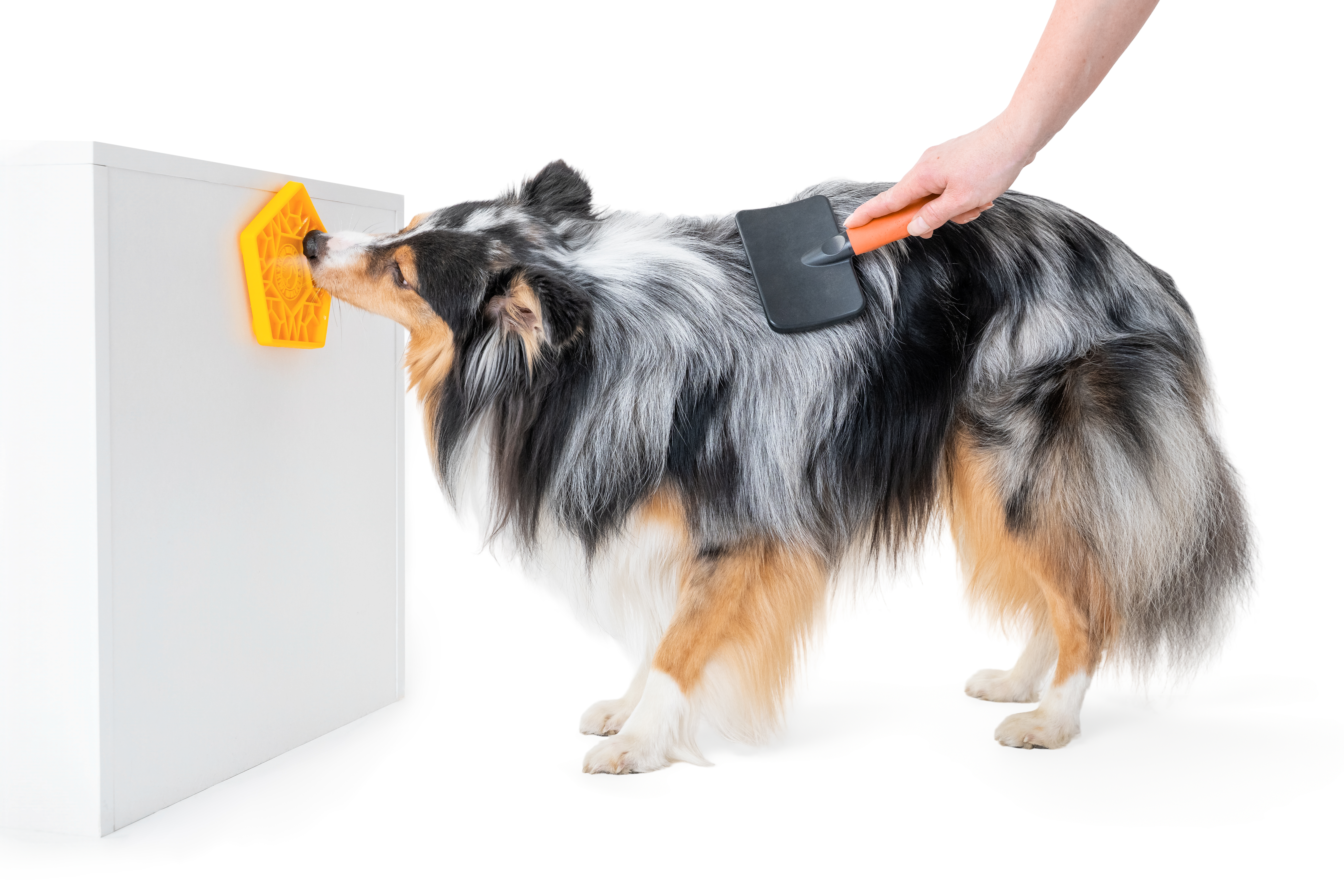 KIWI WALKER Feeding Pad Penta Mini Orange – 13,3 × 12,7 cm