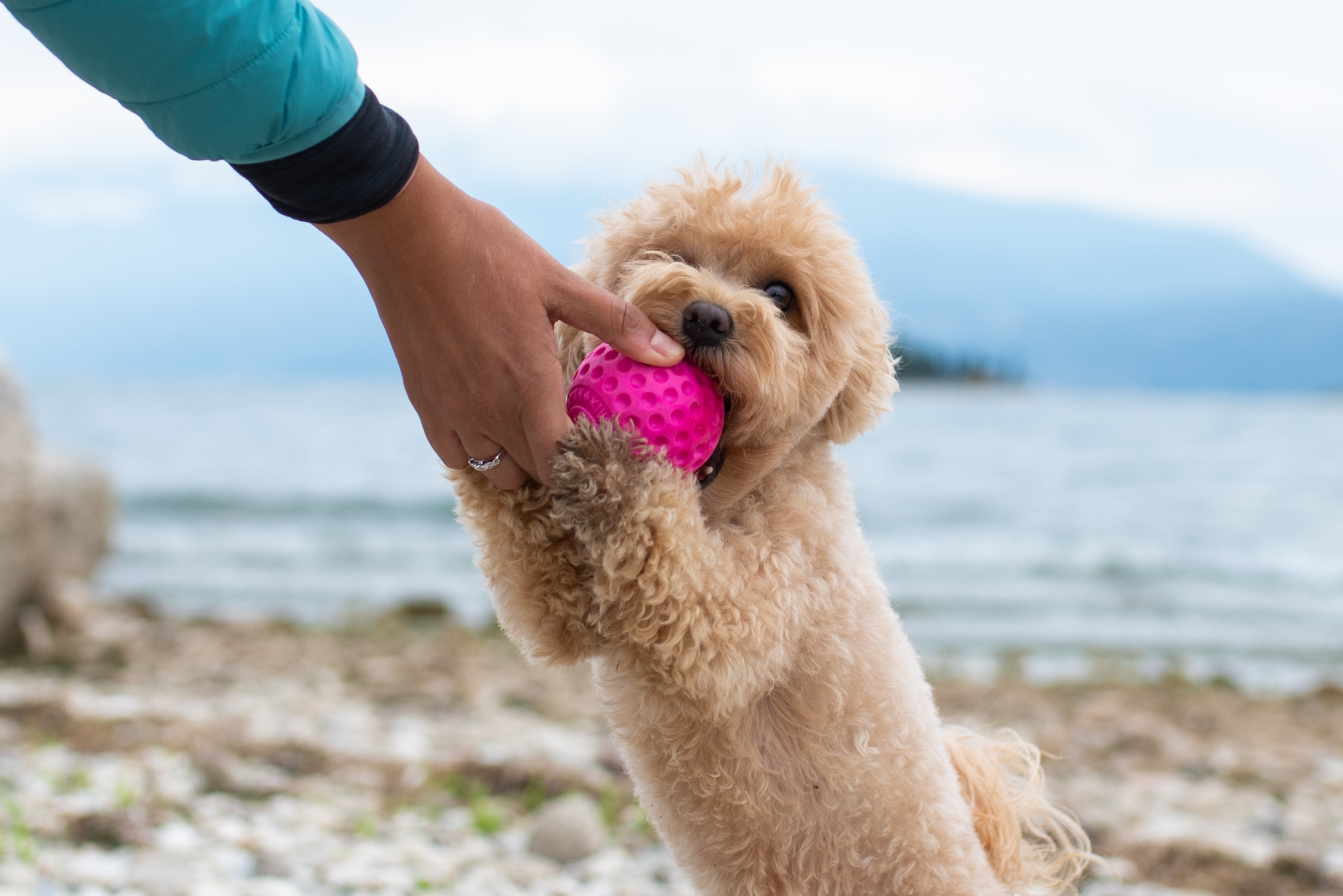 Kiwi-Walker, Ball Mini pink 5cm