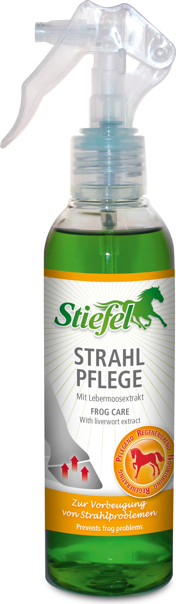 Stiefel Strahl Pflege 200 ml Spray