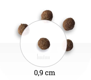 Bon Appetit -  Adult Dog Mini Chicken & Rice 2kg
