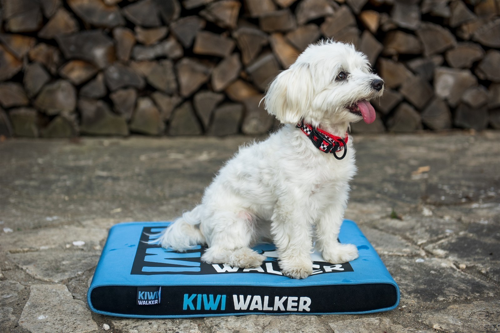KIWI WALKER Running Hundematratze M Blau – 65 × 45 × 6 cm