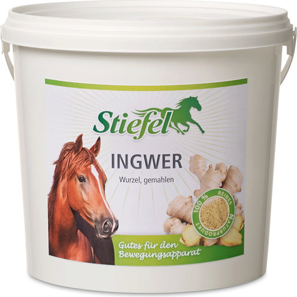 Stiefel Ingwer gemahlen 1kg