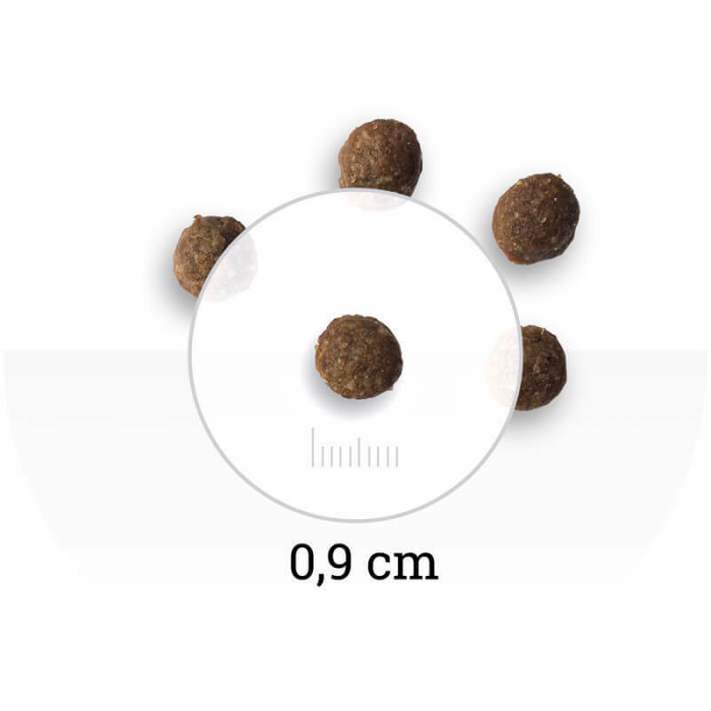 Bon Appetit -  Adult Dog Mini Chicken & Rice 2kg