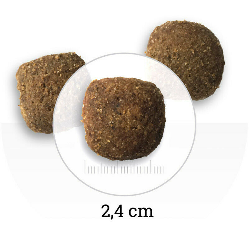 Bon Appetit - Adult Dog Maxi  Chicken&Rice 12kg