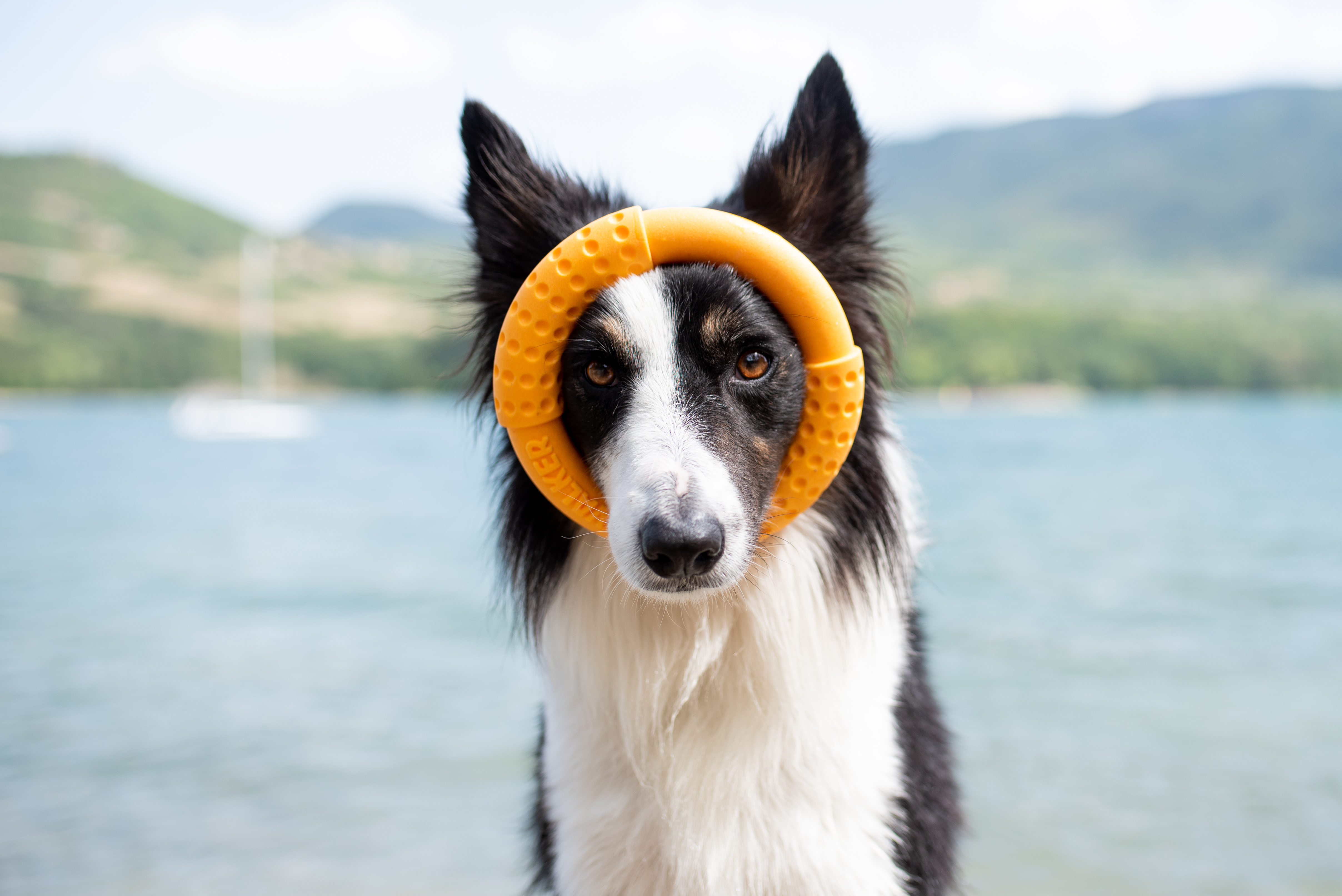 Kiwi-Walker, Ring Mini, orange 13,5cm