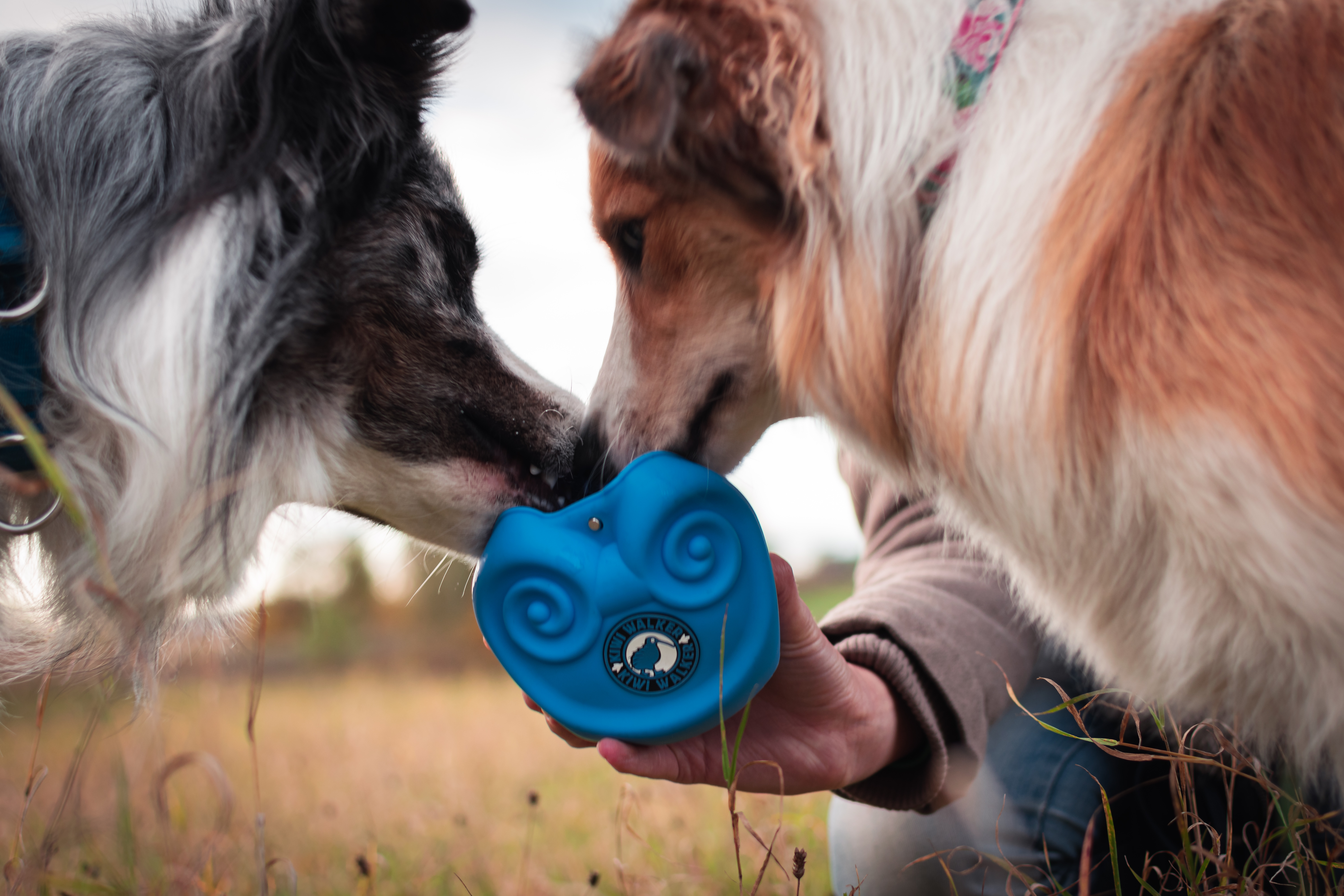 Kiwi-Walker, Snack Tasche blau