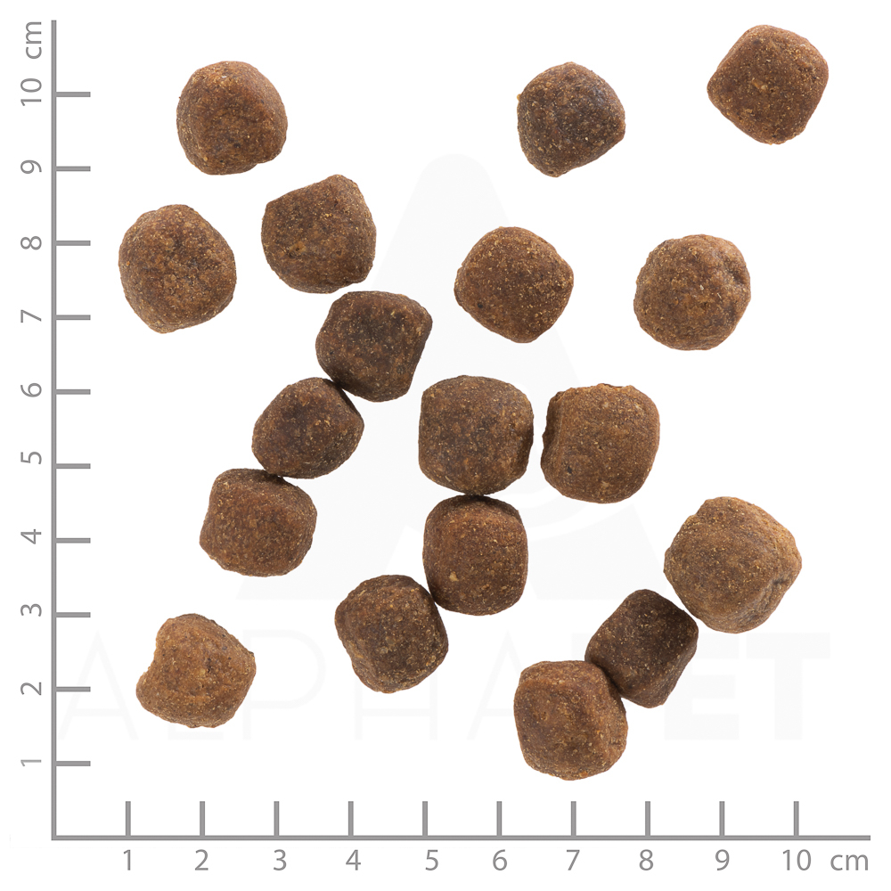 Wolfsblut Wild Duck Adult, 12,5 kg