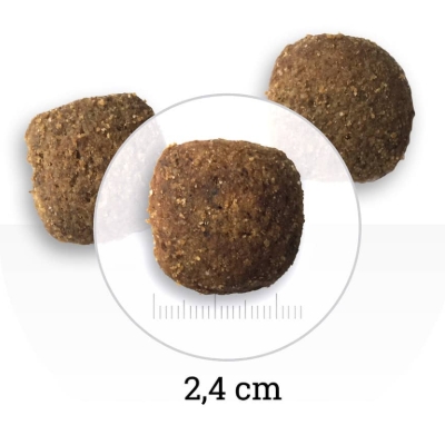 Bon Appetit - Adult Dog Maxi  Chicken&Rice 12kg