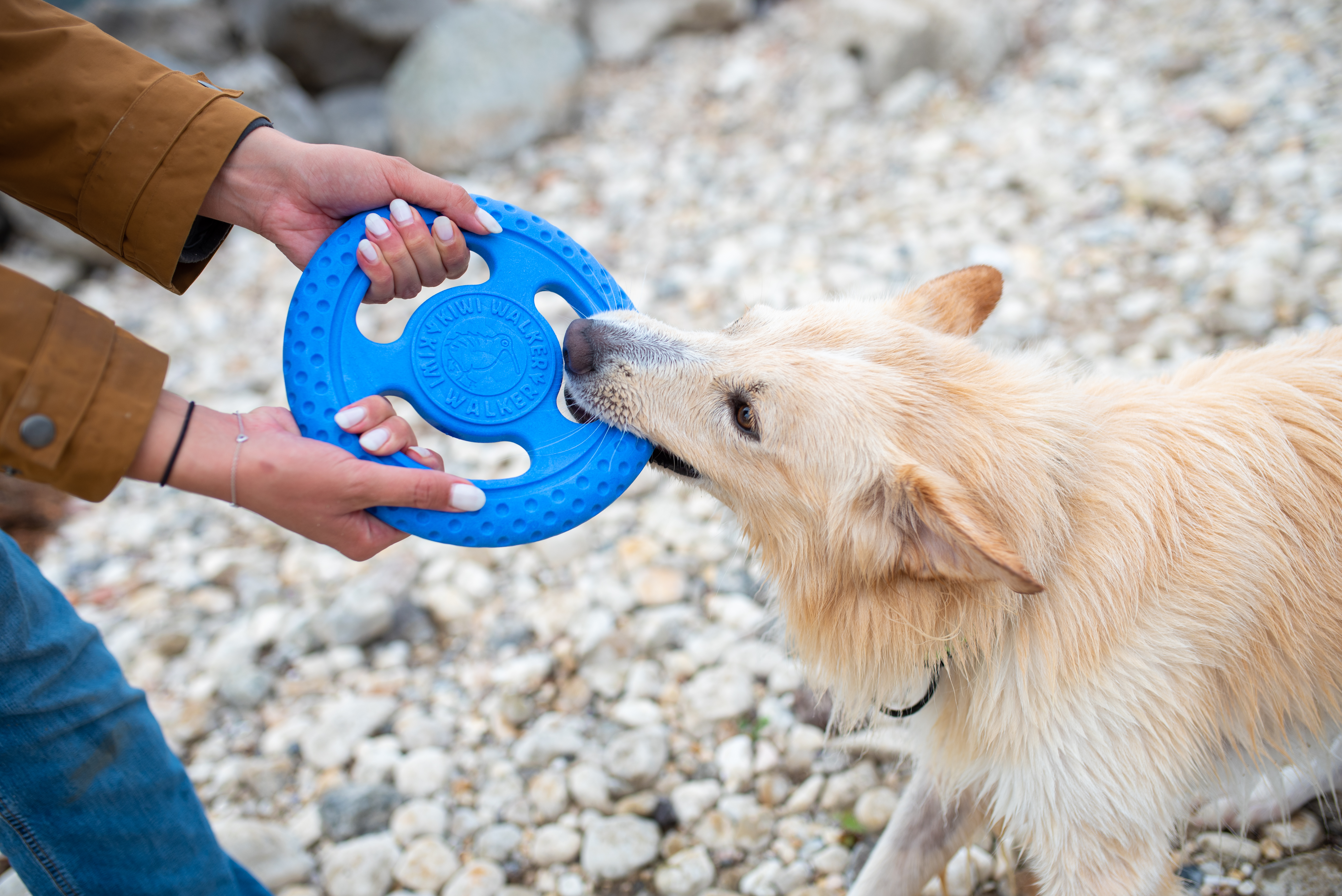 Kiwi-Walker, Frisbee Mini blau 16cm