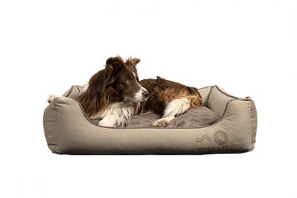 Kiwi-Walker, 4elements Sofa Bed EARTH Brown - L 100x70x26