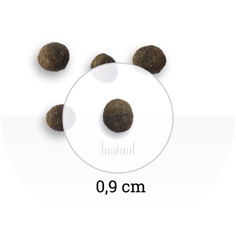 Wolfs Mountain - Junior Valley grain free 2kg