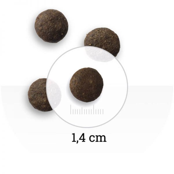 Wolfs Mountain - Wild Forest grain free 2kg